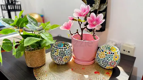 Home decor Items with Artificial Plants