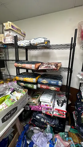 Metal Shelves for Sale