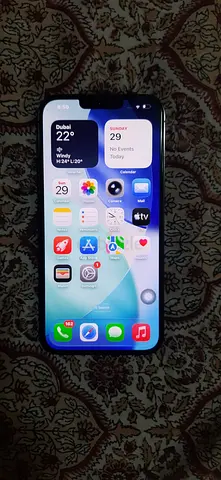 IPHONE 13 PRO MAX 256GB