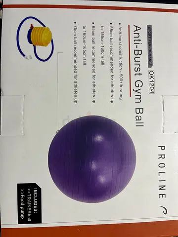 Proline Anti-Burst Gym Ball 75cm (Swiss Ball) - Used