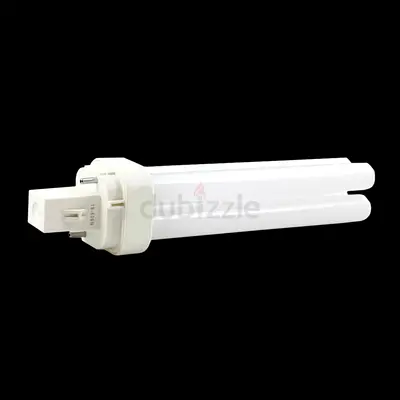 Compact Fluorescent Light Bulb