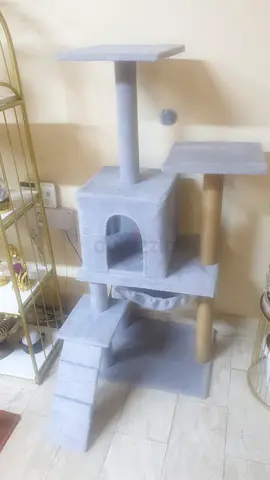 Cat tree and scratching , tub, tray, tent , house and other items for sale