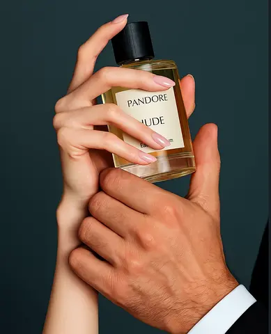 Photography / Videography