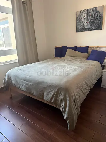 IKEA Bed Frame with Mattress