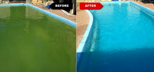 Swimming Pool Cleaning  Maintenance Service