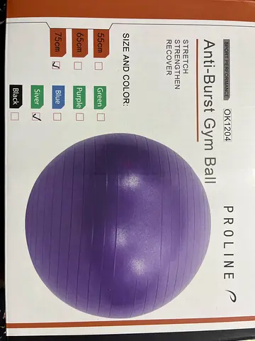 Proline Anti-Burst Gym Ball 75cm (Swiss Ball) - Used