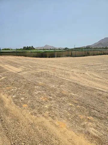 ارض زراعية او متعددة الاستخدامات للايجار في ضدنا الفجيرة