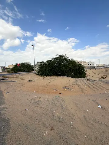 للبيع ارض في المالحة