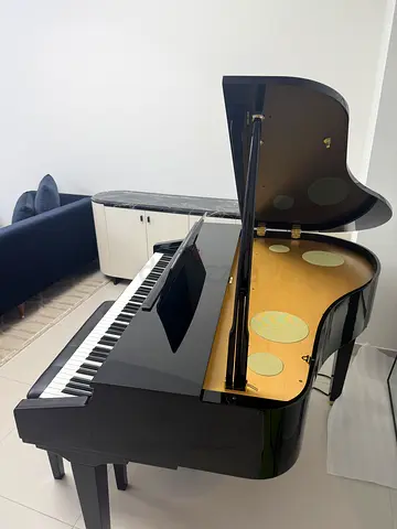 Stylish Black Grand Piano