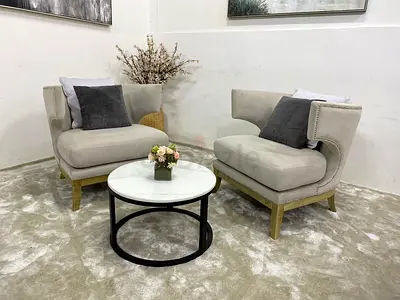 Stylish Beige Lounge Chairs Set