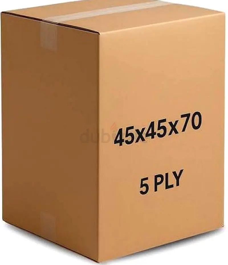DPV_View_Image_2