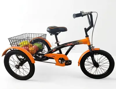 Tricycle 12 inch