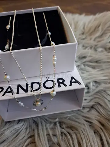 أبوظبي الشمخة