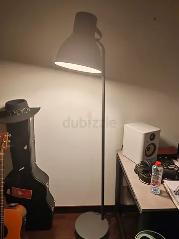Modern Floor Lamp