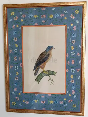 Original Falcon Painting