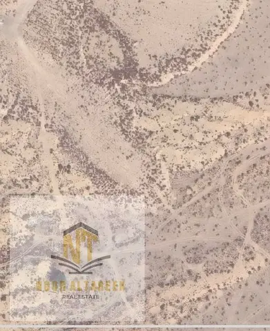 للبيع – أرض استثمارية بالقاسمية 3تملك حر للجميع الجنسيات المساحة: 7,971 قدم مربع الاستخدام: سكن عمال، صناعية خفيفة، مكاتب،