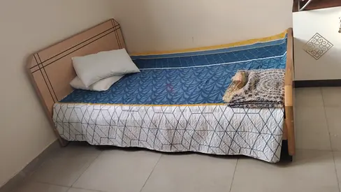 Queen size Bed with Mattress