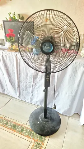 Ikon stand fan