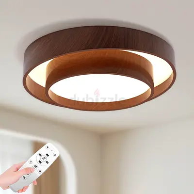 Modern Ceiling Light with Remote Control