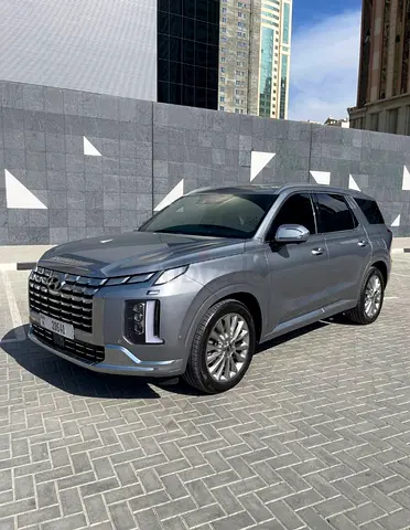 Hyundai Palisade Calligraphy