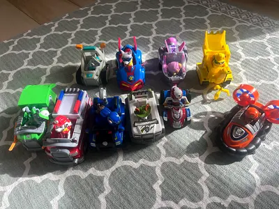 Paw patrols