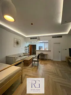 Fully Furnished and Renovated BIG size studio with BIG terrace