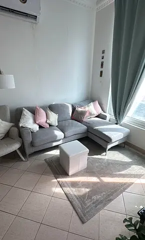 My light grey L-shaped sectional sofa with chaise
