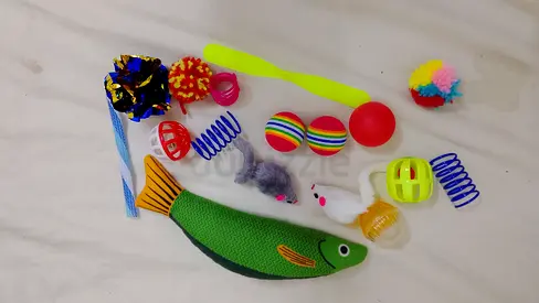 Cat toys