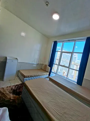 Exclusive offer for Room Rent in Tecom Barsha Heights