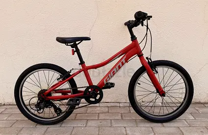20 Size Giant Kid Bike With Shimano Tourney