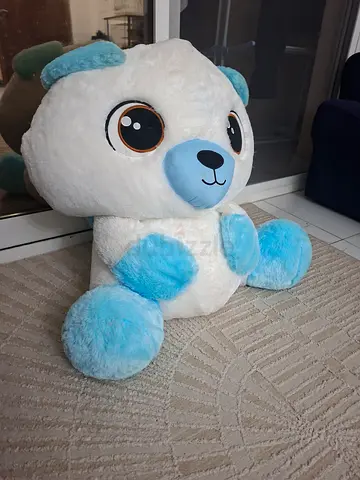 Blue and white puppy for sale