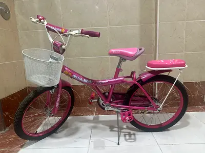 Girls Pink Bicycle with Basket