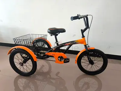 Tricycle 12 - Brand New