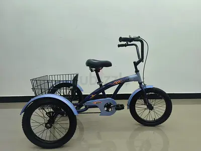 Tricycle 12 - Brand New