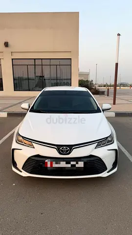 ابوظبي.      -الشوامخ-