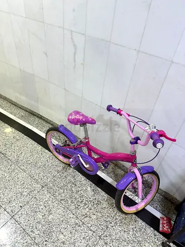 Kids Pink and Purple Bicycle