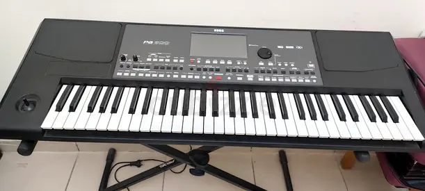 Korg PA 600 with Indian pack