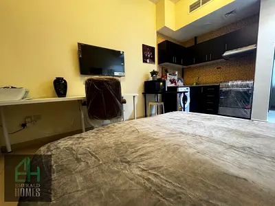 عرض ساخن | مشرق وواسع | مفروش بالكامل | قريب من سيليكون سنترال | جاهز للسكن