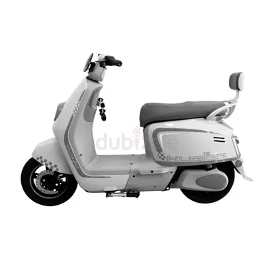 Kugoo Electric Scooter