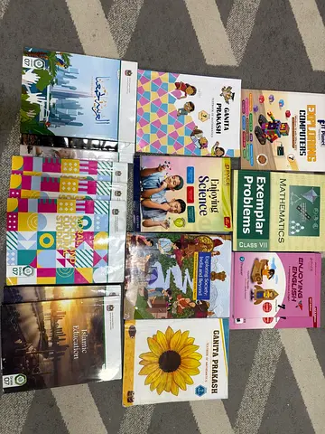 Delhi private school 7th Grade books+ ministry books