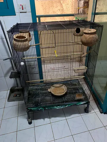 Birds Cage for Sale in Abu Shagara
