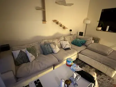 Comfortable L-Shaped Sofa with Cushions