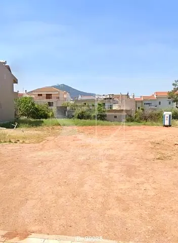 للبيع: أرض زاوية في البليدة – نظام أقساط مريح وفرصة استثمارية مميزة