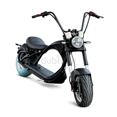 Rohan Wings X-15 Sports Electric Bike (3000W, 60V12Ah, 60 km/h)