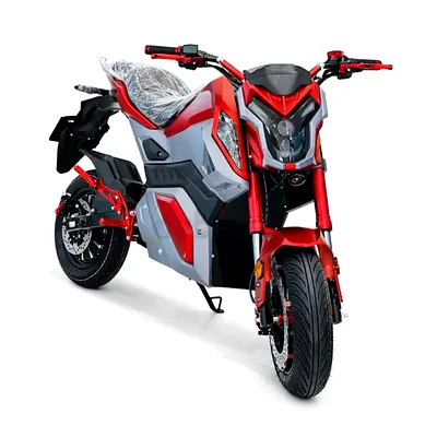 Rohan Wings RS-2 Electric Sports Bike (3000W, 60V20Ah, 75 km/h