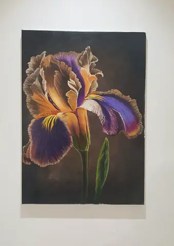 Midnight Iris Painting