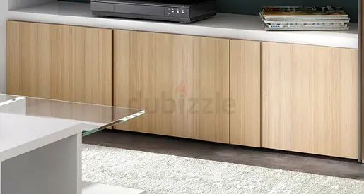 Modern Storage Cabinet for Home or Office