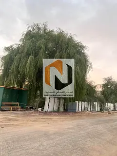 🏡 For sale – Residential plot in Al Rumaqia Wasit Sharjah