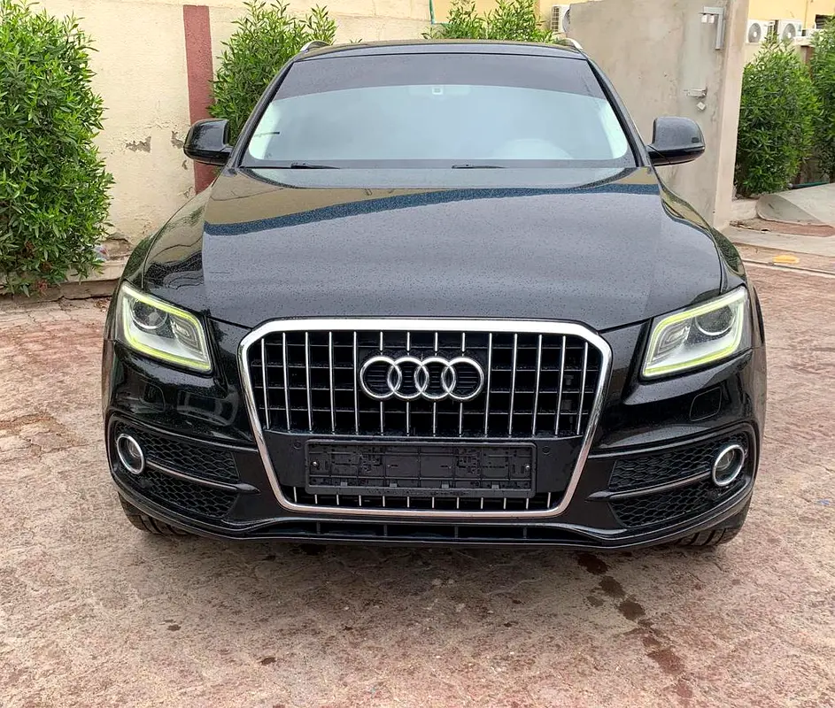 Audi Q5 2015 — photo 1 of 15