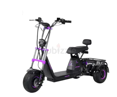 Kugoo Electric Scooter C4